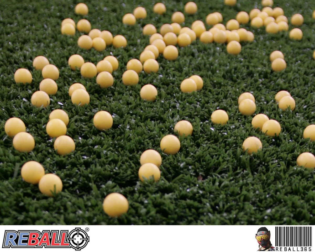 Reball Gun Reball USA - Reusable paintless paintballs